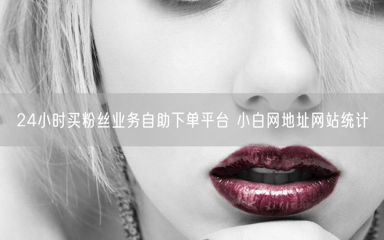 24小时买粉丝业务自助下单平台 小白网地址网站统计