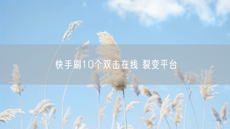 快手刷10个双击在线 裂变平台