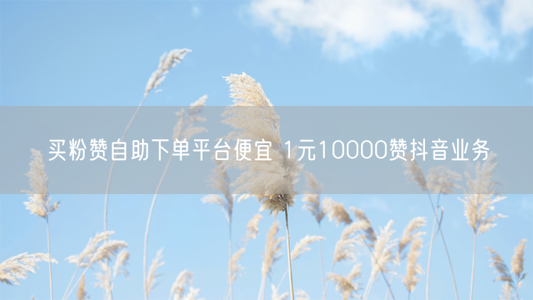 买粉赞自助下单平台便宜 1元10000赞抖音业务