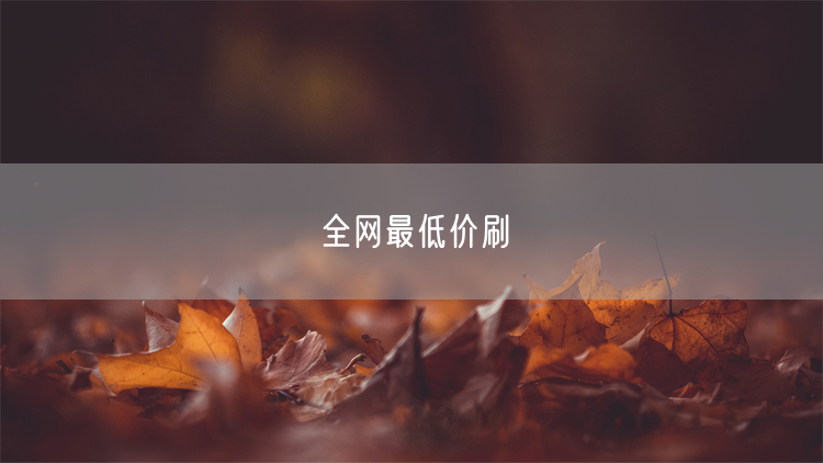 全网最低价刷