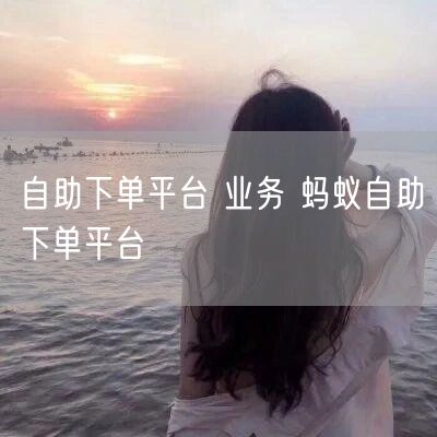 自助下单平台 业务 蚂蚁自助下单平台