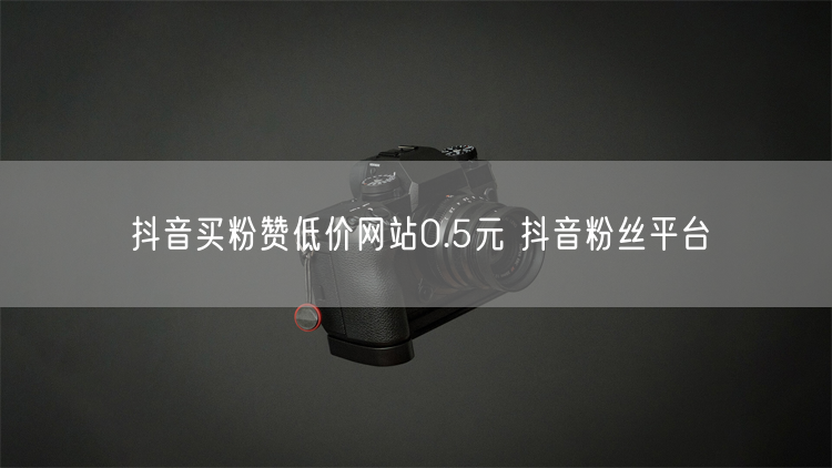 抖音买粉赞低价网站0.5元 抖音粉丝平台