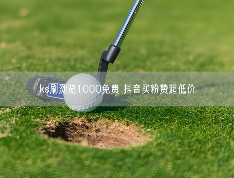 ks刷浏览1000免费 抖音买粉赞超低价
