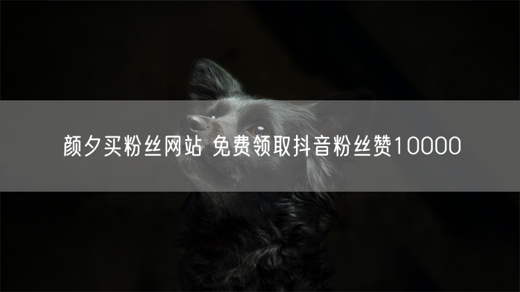 颜夕买粉丝网站 免费领取抖音粉丝赞10000