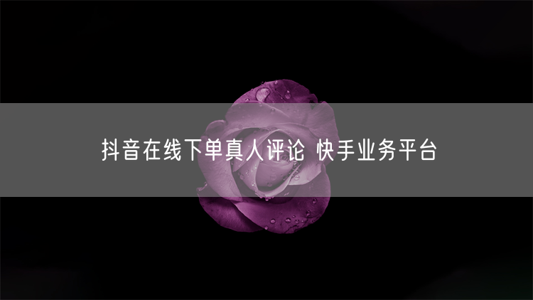 抖音在线下单真人评论 快手业务平台