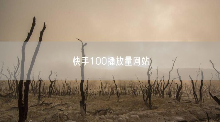 快手100播放量网站
