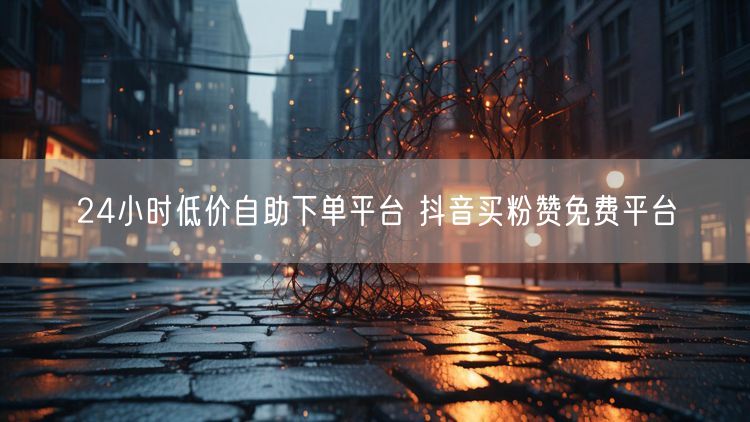 24小时低价自助下单平台 抖音买粉赞免费平台