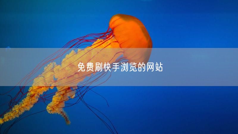 免费刷快手浏览的网站