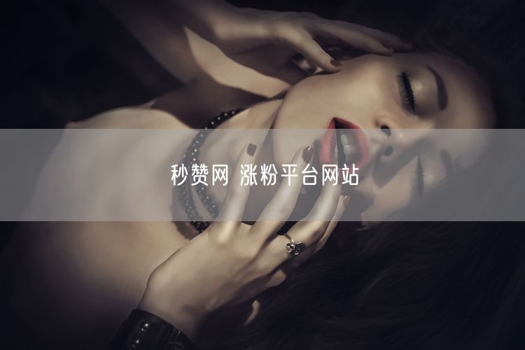 秒赞网 涨粉平台网站