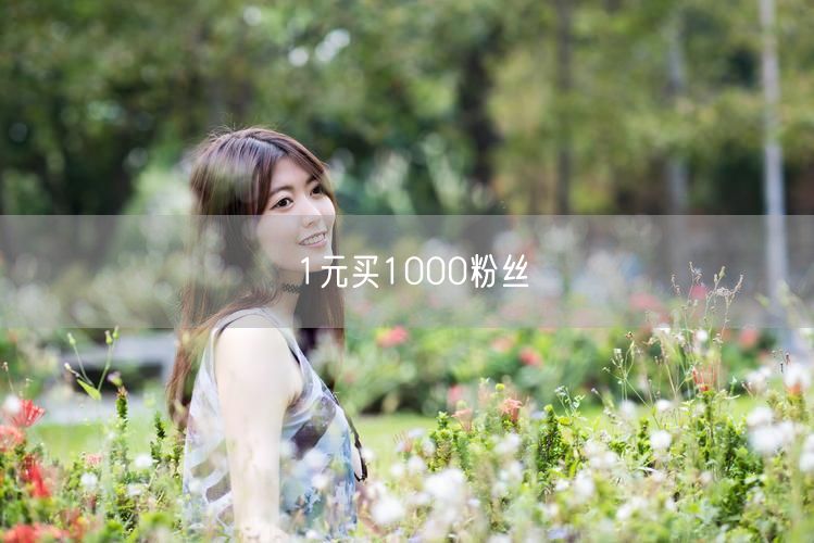 1元买1000粉丝