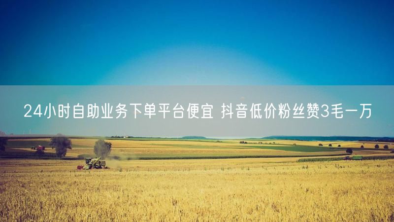 24小时自助业务下单平台便宜 抖音低价粉丝赞3毛一万