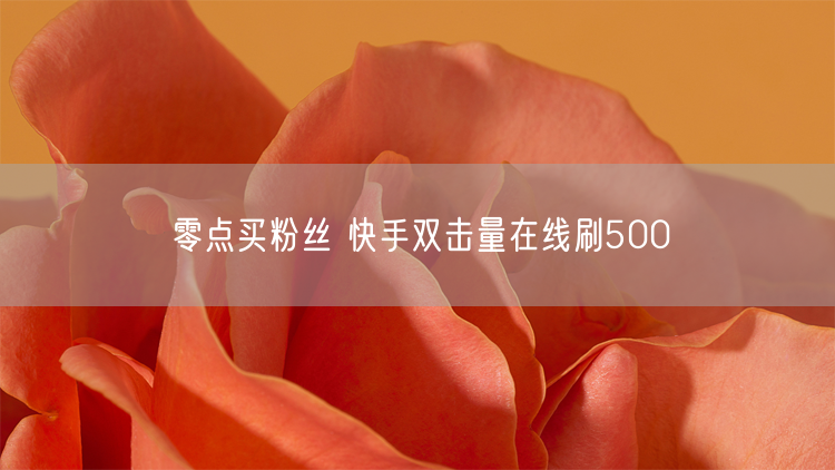 零点买粉丝 快手双击量在线刷500