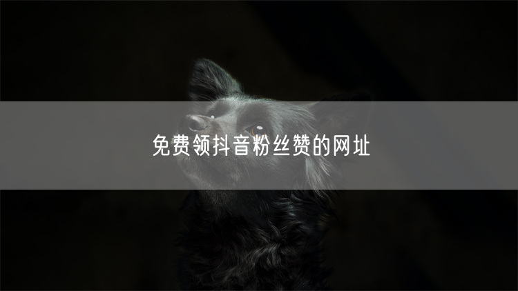 免费领抖音粉丝赞的网址