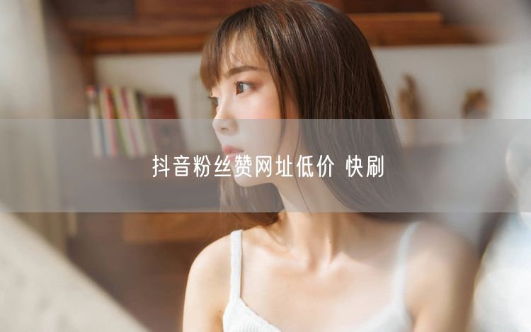 抖音粉丝赞网址低价 快刷
