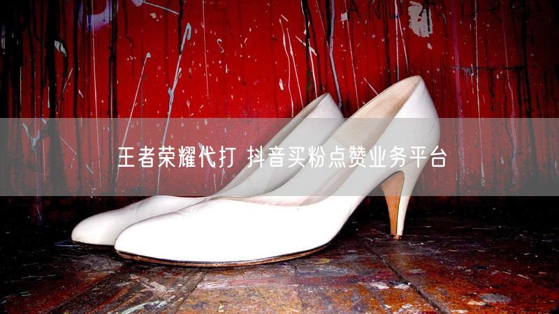 王者荣耀代打 抖音买粉点赞业务平台
