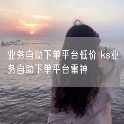 业务自助下单平台低价 ks业务自助下单平台雷神