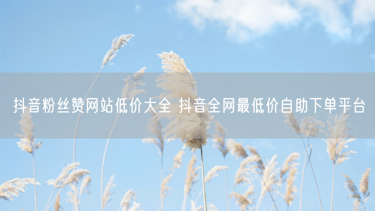 抖音粉丝赞网站低价大全 抖音全网最低价自助下单平台