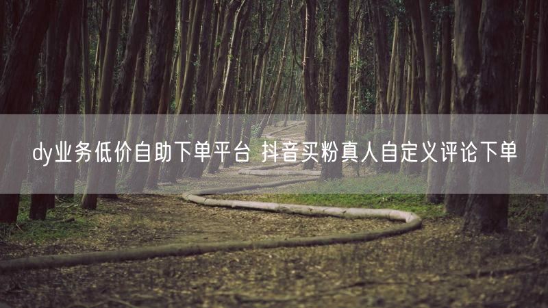 dy业务低价自助下单平台 抖音买粉真人自定义评论下单
