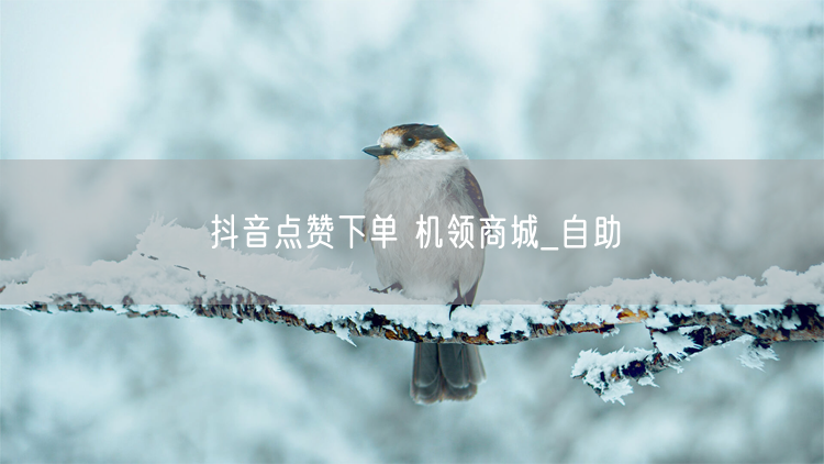 抖音点赞下单 机领商城_自助