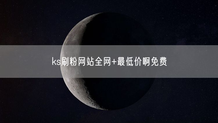 ks刷粉网站全网+最低价啊免费