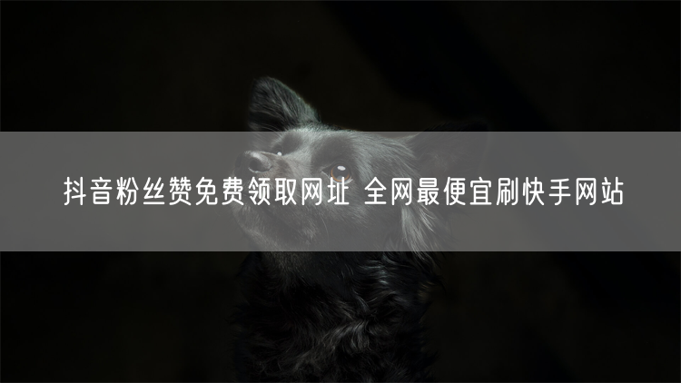 抖音粉丝赞免费领取网址 全网最便宜刷快手网站