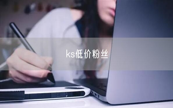 ks低价粉丝