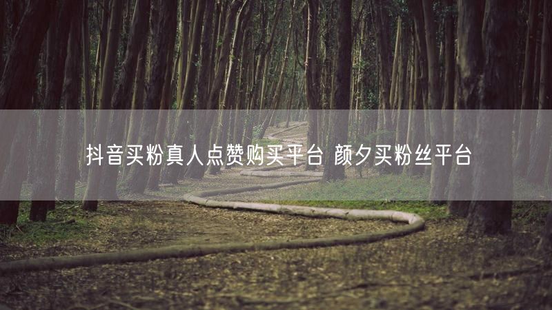抖音买粉真人点赞购买平台 颜夕买粉丝平台