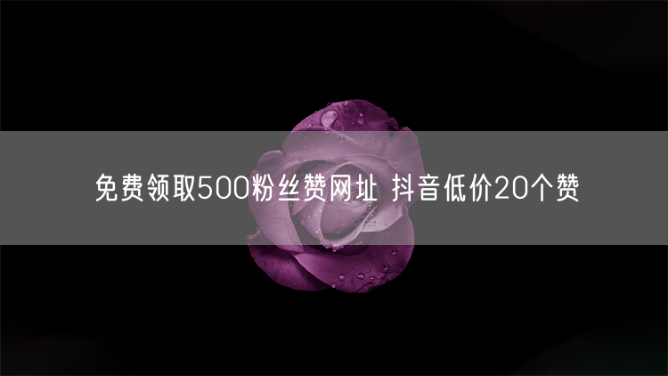 免费领取500粉丝赞网址 抖音低价20个赞