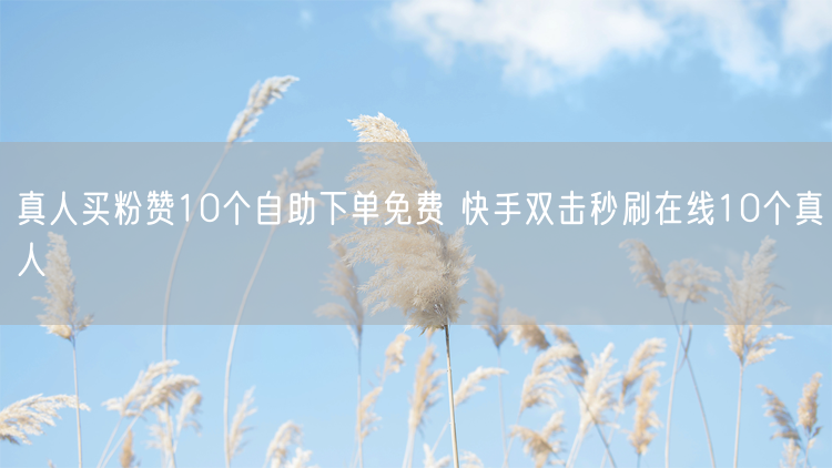 真人买粉赞10个自助下单免费 快手双击秒刷在线10个真人