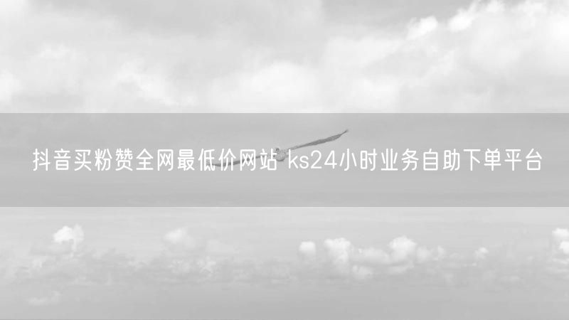 抖音买粉赞全网最低价网站 ks24小时业务自助下单平台