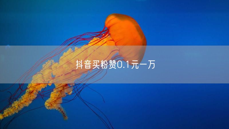 抖音买粉赞0.1元一万