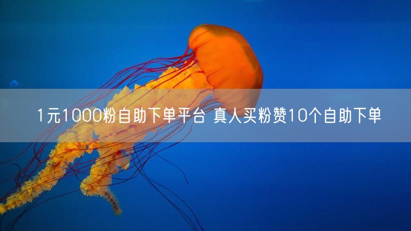 1元1000粉自助下单平台 真人买粉赞10个自助下单