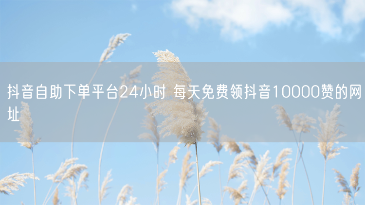 抖音自助下单平台24小时 每天免费领抖音10000赞的网址