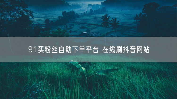 91买粉丝自助下单平台 在线刷抖音网站