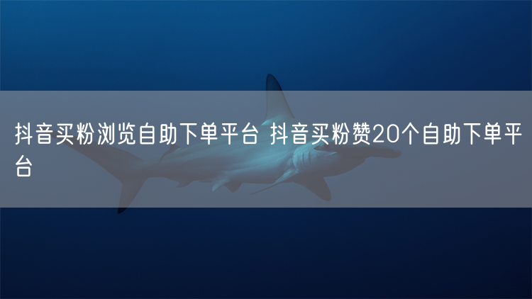 抖音买粉浏览自助下单平台 抖音买粉赞20个自助下单平台