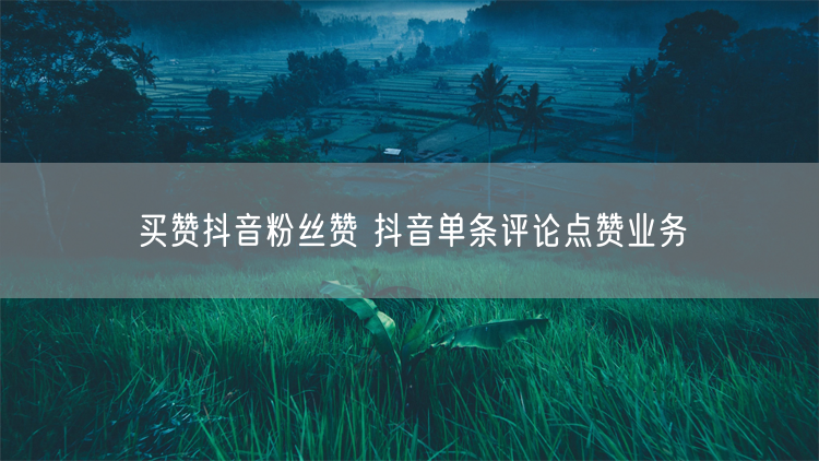 买赞抖音粉丝赞 抖音单条评论点赞业务