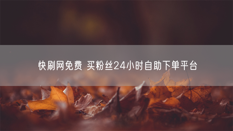 快刷网免费 买粉丝24小时自助下单平台