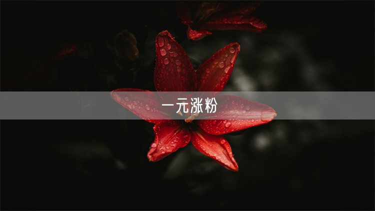 一元涨粉