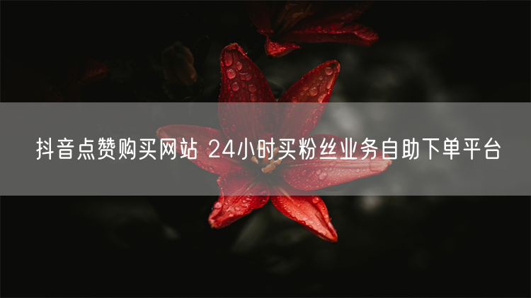 抖音点赞购买网站 24小时买粉丝业务自助下单平台