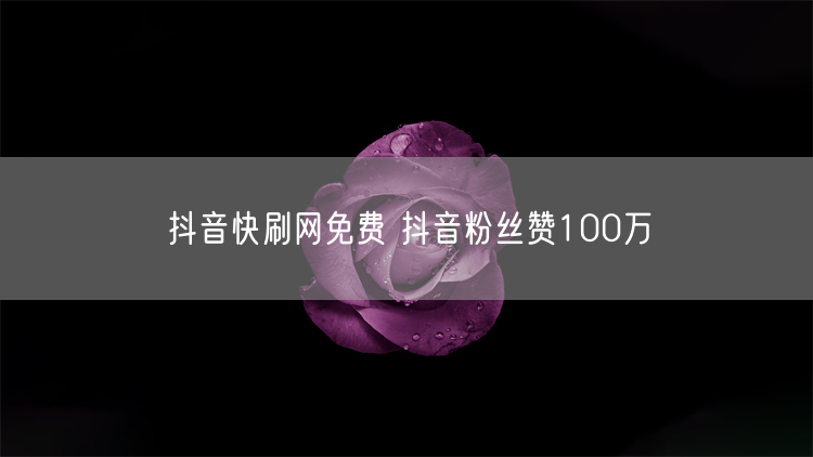 抖音快刷网免费 抖音粉丝赞100万