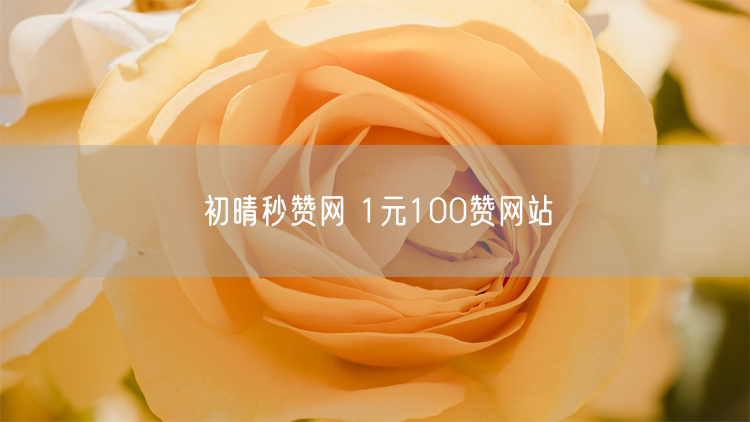 初晴秒赞网 1元100赞网站
