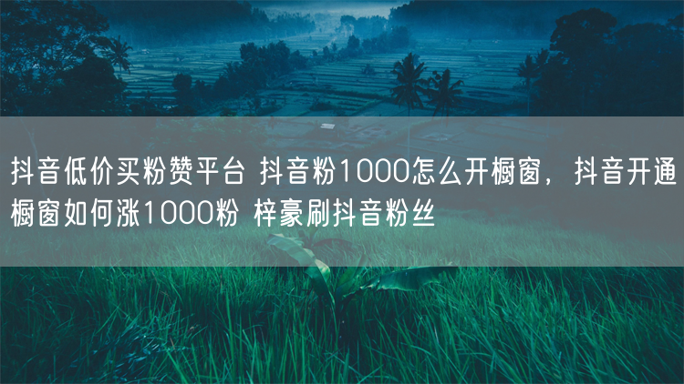 抖音低价买粉赞平台 抖音粉1000怎么开橱窗，抖音开通橱窗如何涨1000粉 梓豪刷抖音粉丝