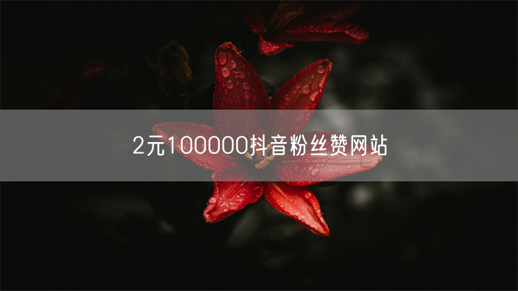 2元100000抖音粉丝赞网站