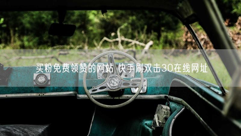 买粉免费领赞的网站 快手刷双击30在线网址