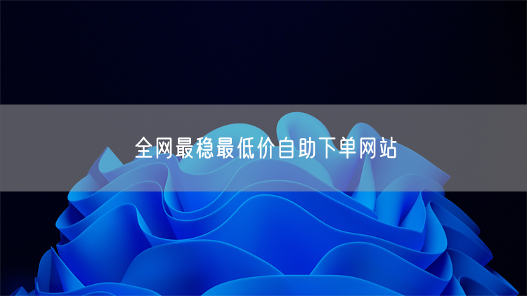 全网最稳最低价自助下单网站