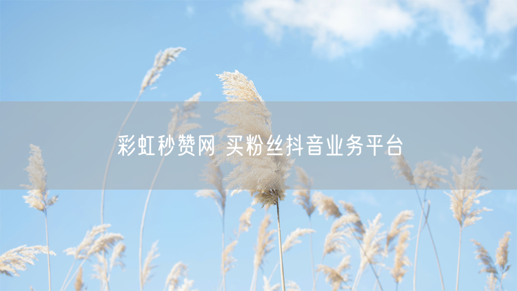 彩虹秒赞网 买粉丝抖音业务平台