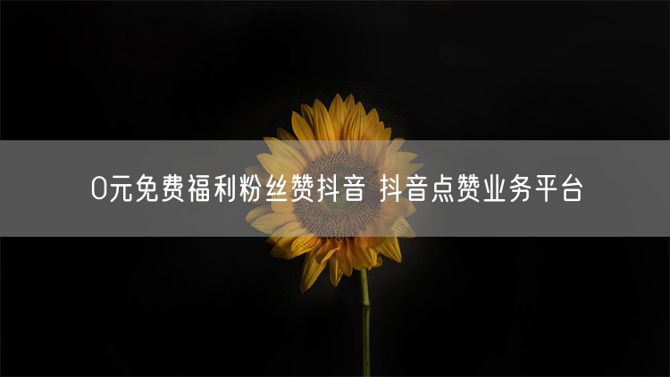 0元免费福利粉丝赞抖音 抖音点赞业务平台