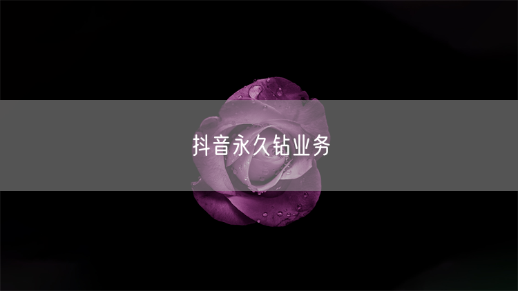 抖音永久钻业务