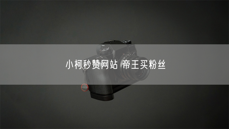 小柯秒赞网站 帝王买粉丝