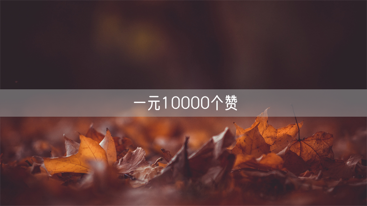 一元10000个赞